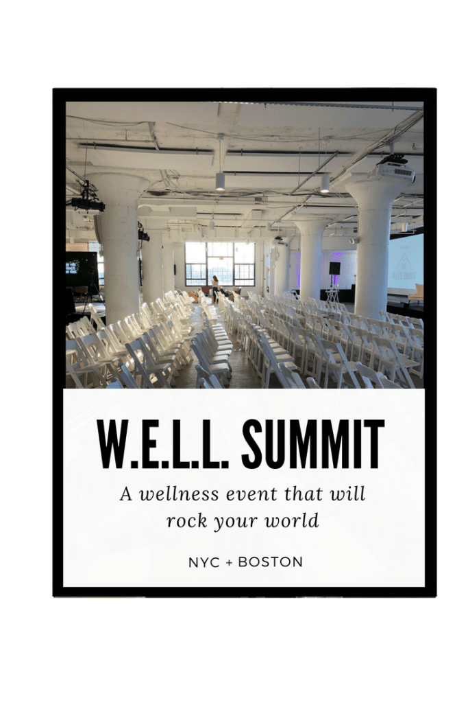 W.E.L.L. Summit Boston