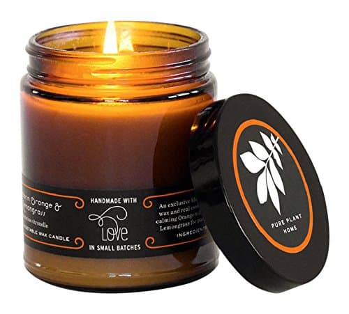 product image of a Pure Plant Home candle with its candle lid leaning against the candle